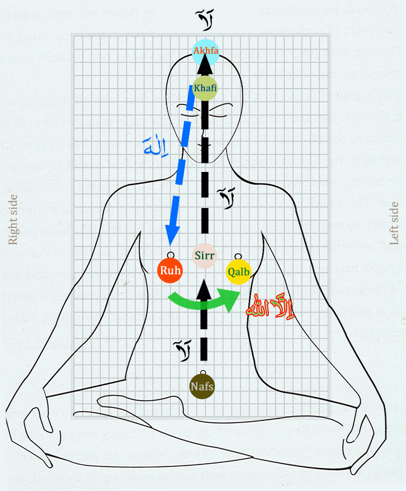 Meditating On The Divine Presence | Wulfruna Sufi Association